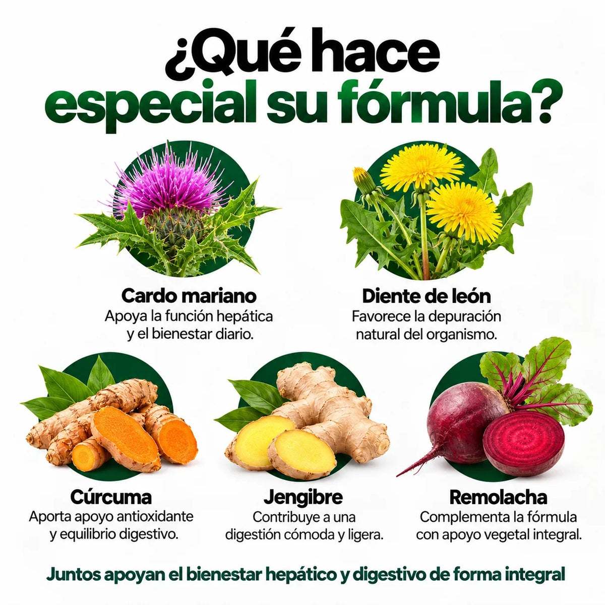 Liver Cleanse Detox - Limpieza hepática para sanar el hígado graso naturalmente 💚